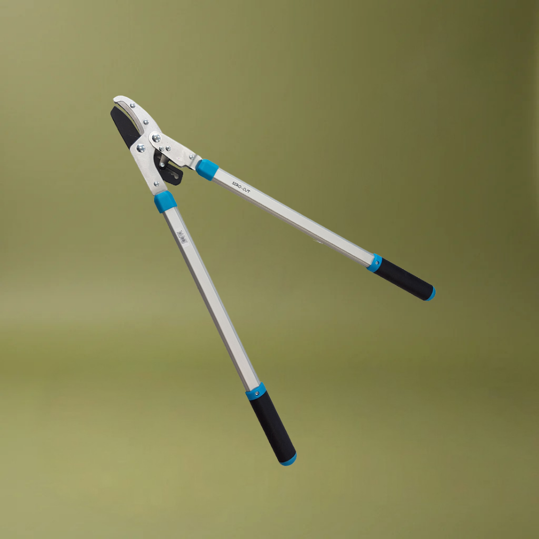 Professionele Takkenschaar