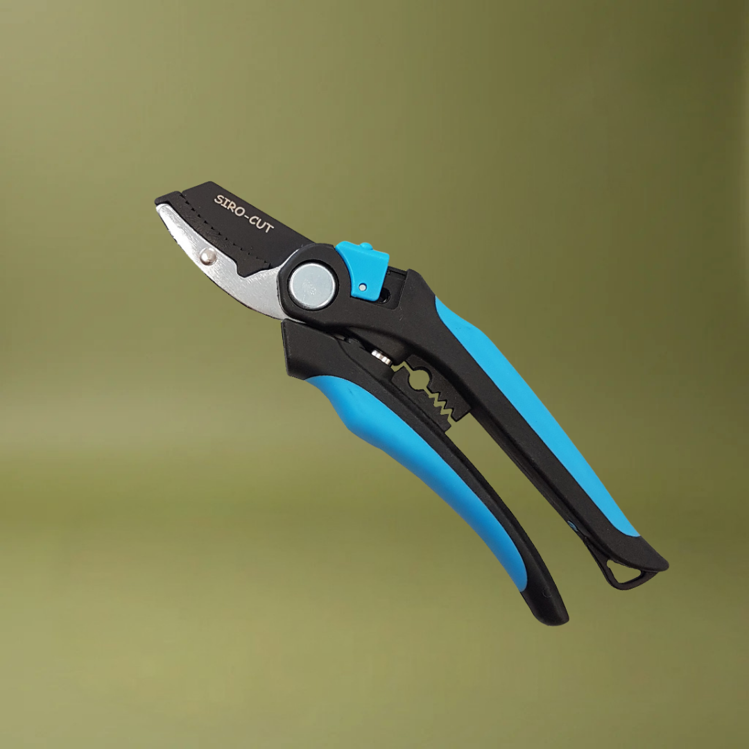 Aambeeld Snoeischaar